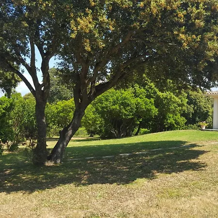 A Merendella, Avec Vaste Jardin Arbore, Vue Mer, Acces Direct וילה Pietrosella